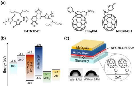  Fullerenen! De Toekomst van Elektronische Materialen en Nanotherapieën?