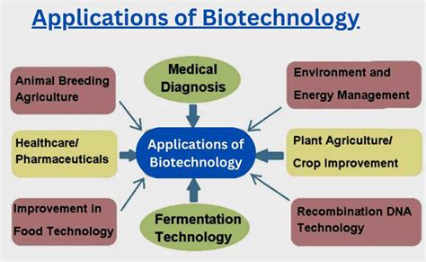  Uracil in Farmaceutische Synthese en Biotechnologische Applicaties!